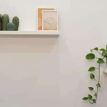 5 Star Luxury Studio-old Town Center クルージュ＝ナポカ