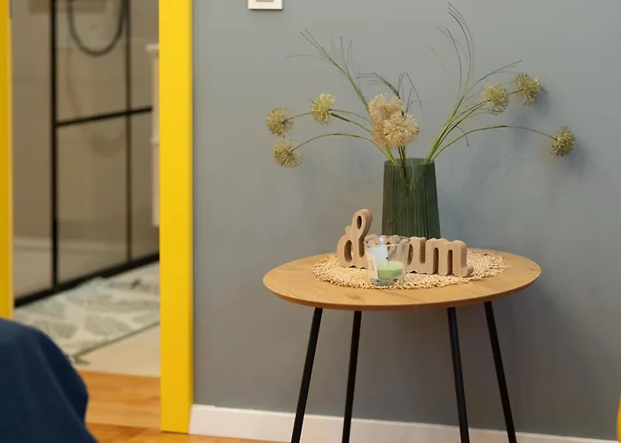 5 Star Luxury Studio-old Town Center קלוז'-נאפוקה